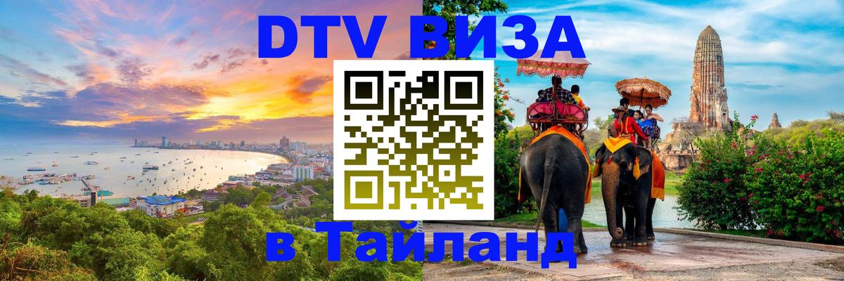 Оформление DTV визы под ключ: стоимость и тарифы, только загранпаспорт - Мурино 